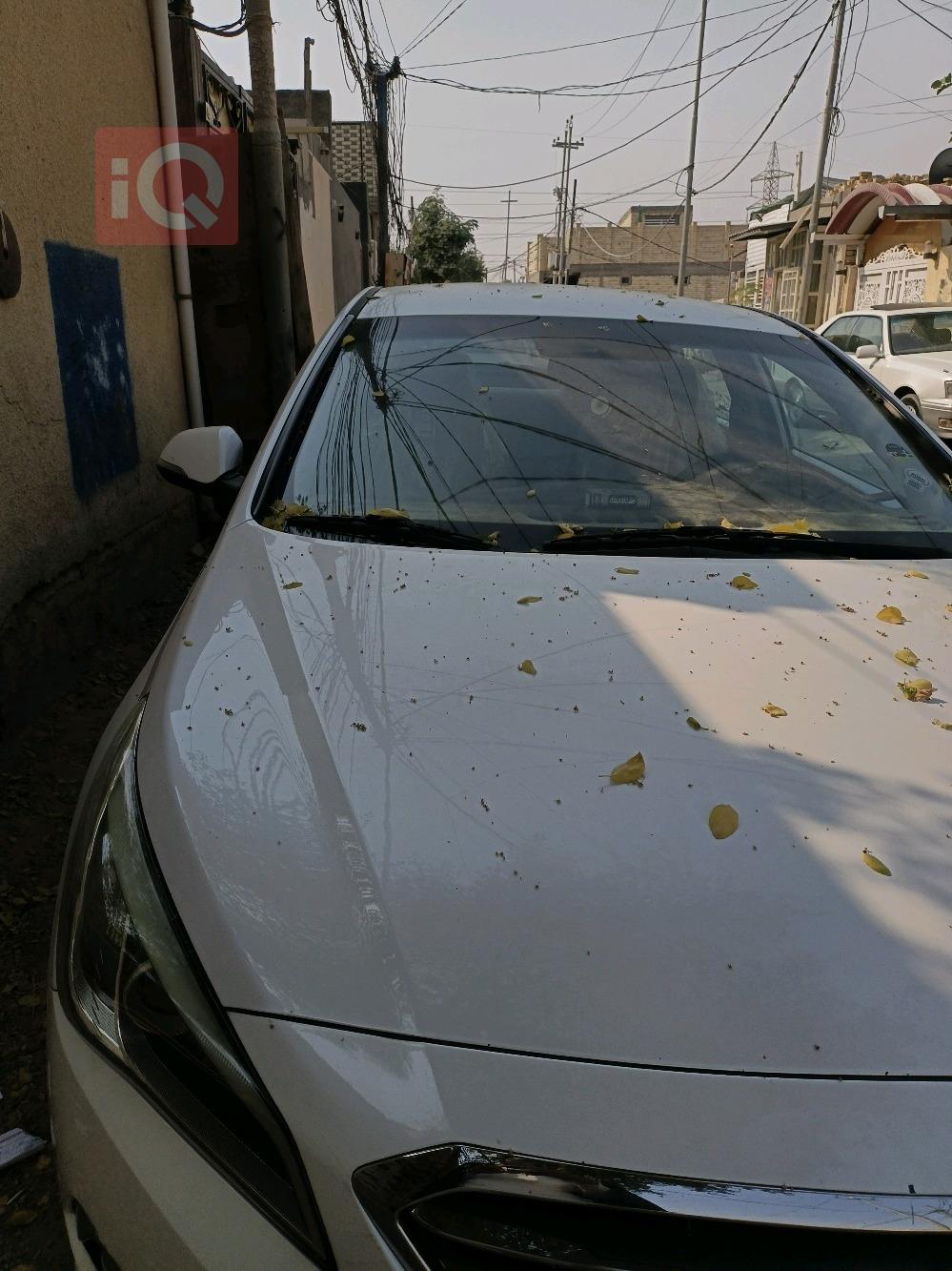 هيونداي سوناتا
